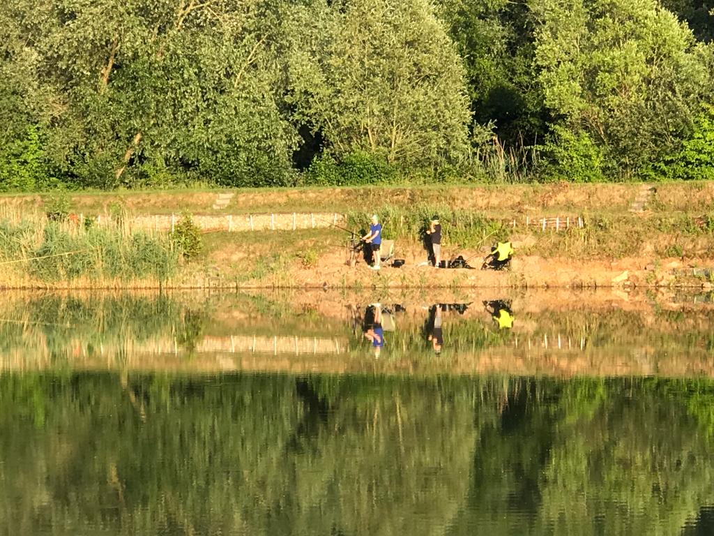 Natur am Vereinssee